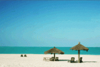 /album/fotogalerie-bahamy/bahamy-abacos-plaz-gif/