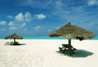 /album/fotogalerie-bahamy/bahamy-abacos-plaz-1-gif/