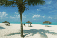 /album/fotogalerie-bahamy/bahamy-abacos-plaz-pisek-gif/