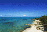 /album/fotogalerie-bahamy/bahamy-acklins-more-gif/