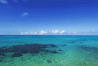 /album/fotogalerie-bahamy/bahamy-acklins-more-1-gif/