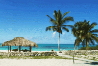 /album/fotogalerie-bahamy/bahamy-acklins-pobrezi-gif/