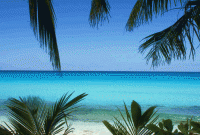 /album/fotogalerie-bahamy/bahamy-bimini-plaz-gif/